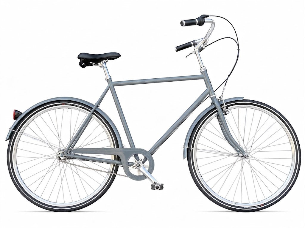 Neptune Retro herrecykler